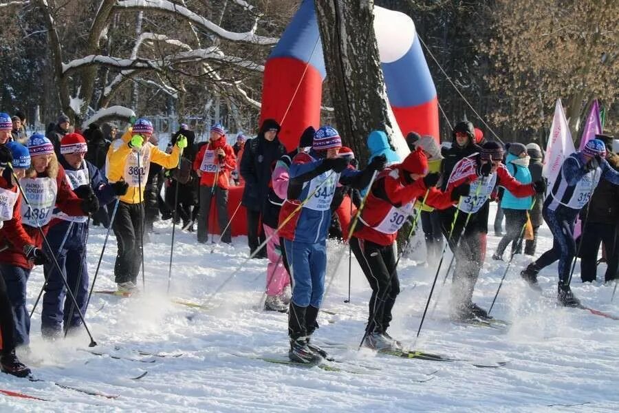 Гонки лыжня россии. Лыжня России. Массовый лыжный забег. Массовый лыжный спорт в России. Спортивно-массовое соревнование Лыжня.