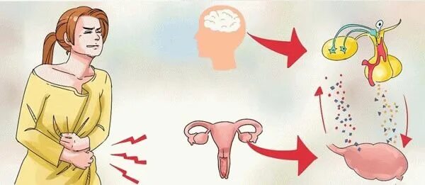 Кровотечение вне цикла причины. Гиперменструальный синдром. Скудные менструации гипоменорея. Климакс у женщин рисунки. Менструальный цикл (гиперменструальный синдром, ДМК).