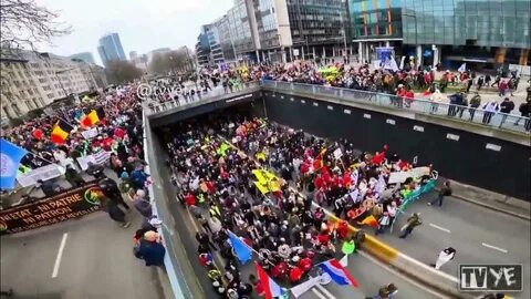 Набережная коммерции 23