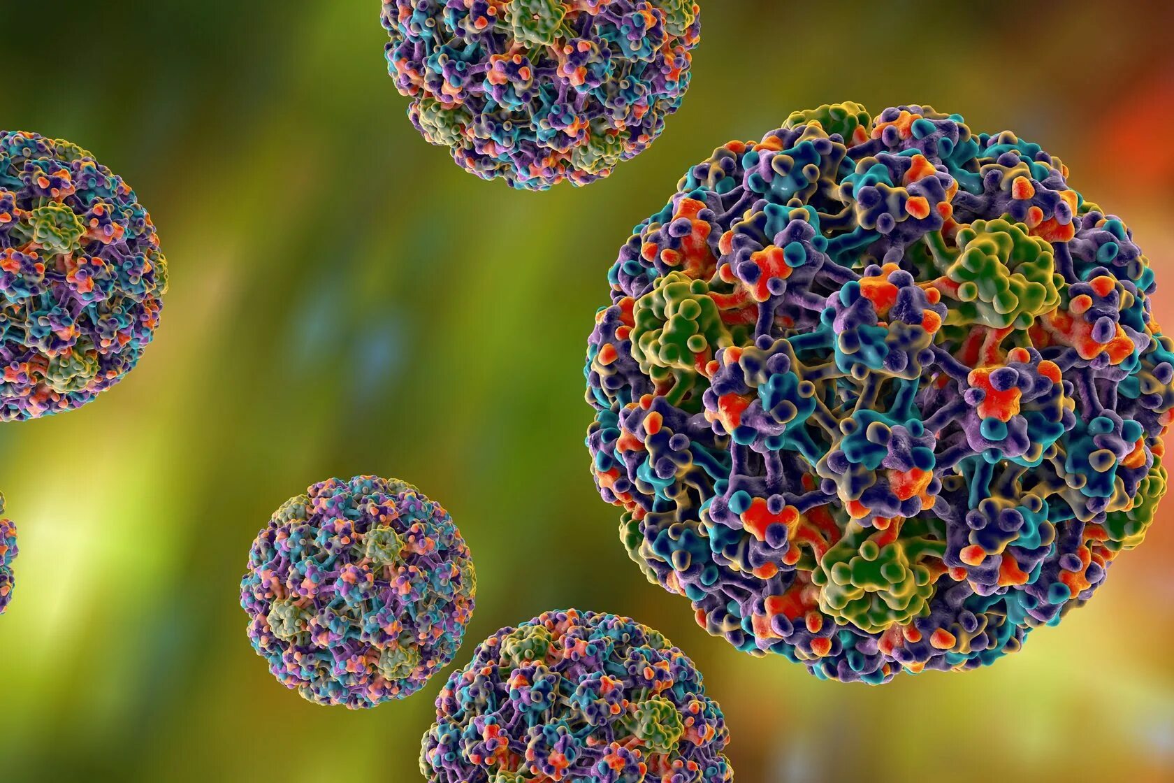 Много новых вирусов. Папилломавирус под микроскопом. Вирусы фото. Вирусы человека под микроскопом.