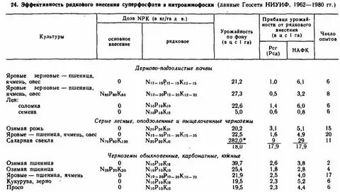 Сорт норма