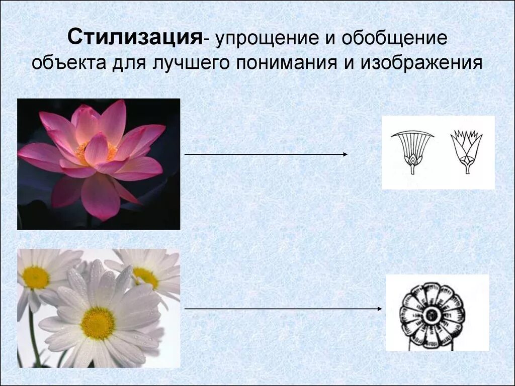 Упрощение внутреннего и внешнего строения. Стилизация упрощение. трансформация формы. стилизация упрощения и обобщения. упрощение формы.