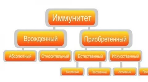 Феномены иммунитета