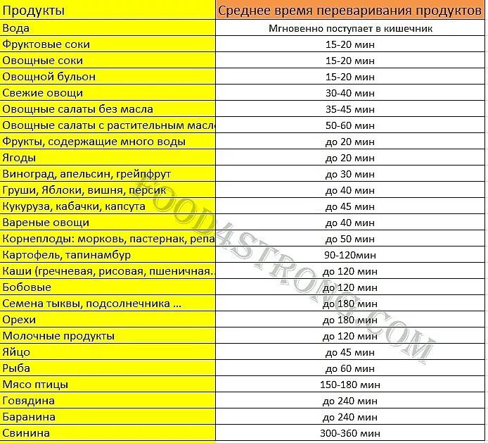 Таблица переваривания пищи в желудке по времени Сколько переваривается квашеная капуста
