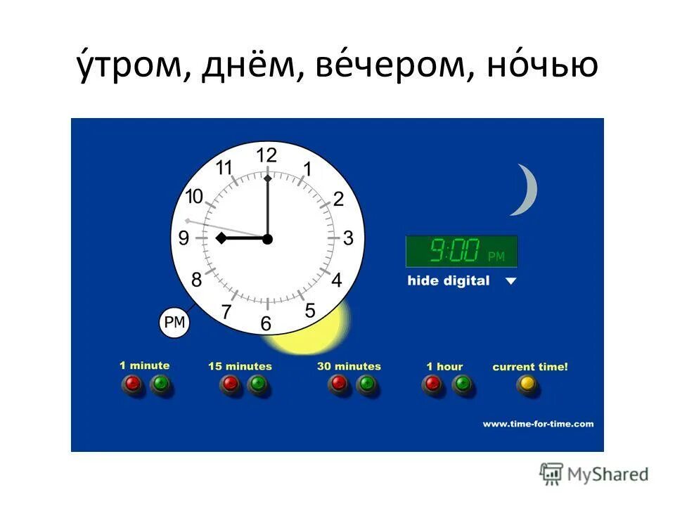 Hidden through time хамелеон. Hidden through time. Hidden through time (2020). Loooptopia. A hide in time.