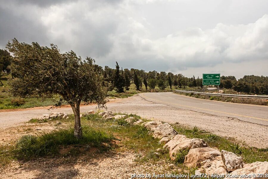 Стена израиль палестина. Палестинская автономия фото. Шоссе 60 израиль. Эшхар поселение израиль. Еврейский бульдозер на арабских территориях.