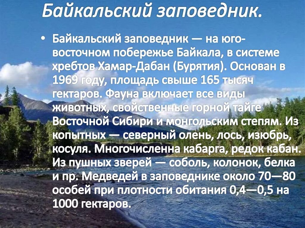 Байкальский заповедник 2 класс. Заповедники Сибири. Байкальский заповедник описание. Байкальский заповедник презентация. Доклад о Байкальском заповеднике.