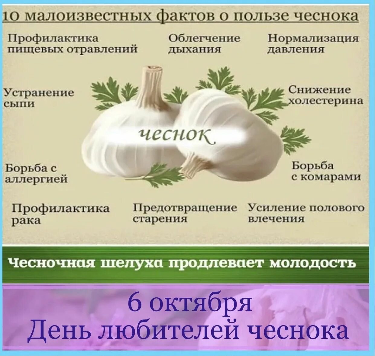 Чеснок польза и вред для мужчин. Чеснок. Чем полезен чеснок. Чесноке че мполезен. Чеснок польза.