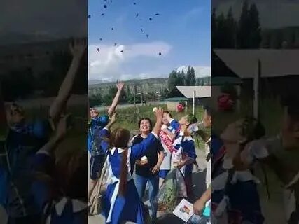 Погода тараны