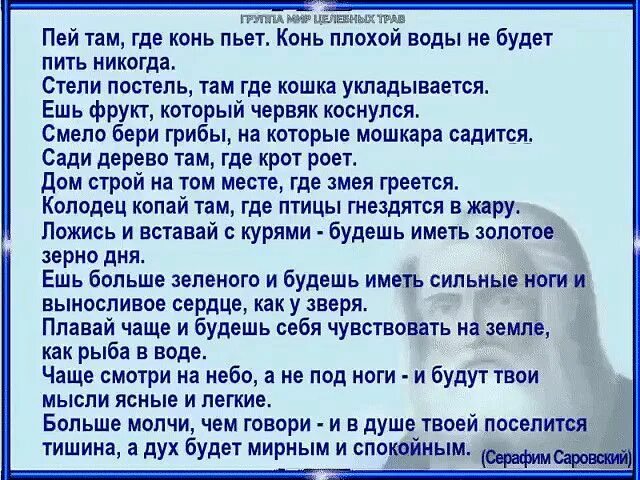 Чижик пыжик текст. Пришёл пить воду гребенщиков. Песенки про воду. Слова песни пей воду. Слова песни пей воду.