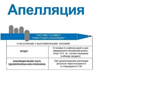 Новые документы в апелляции