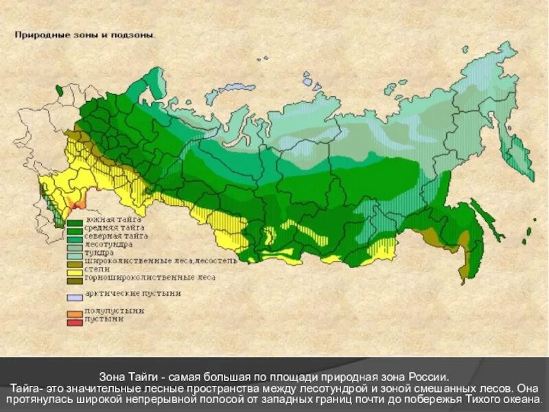 Самая крупная по площади природная зона. Карта природных зон России площадь. Зона тайги на карте России. Тайга на карте России природных зон. Территория тайги на карте России.