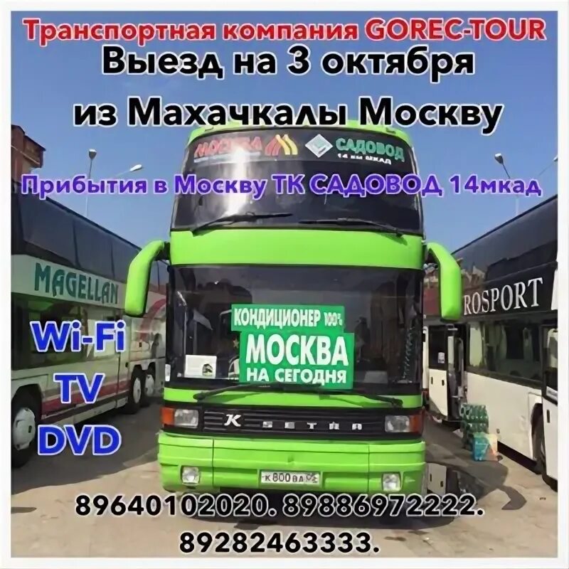 Автобус москва номер телефона. Автобус москва махачкала. автобус махачкала. автобусы москва махачкала котельники номер телефона. автобус хасавюрт москва.