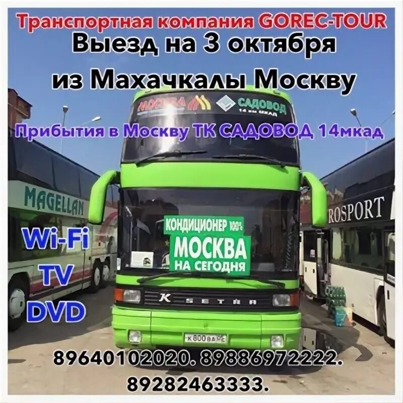 Автобус Москва Махачкала. Автобус Махачкала. Автобус Хасавюрт Москва. Автобус Дербент Москва.