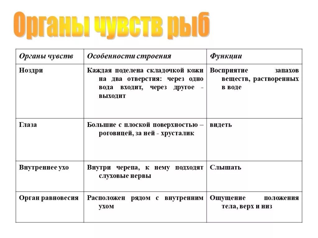 Строение рыбы 7 класс таблица. Органы чувств у рыб 7 класс биология. Особенности органов чувств у рыб. Особенности строения органов чувств у рыб. Органы чувств рыбы таблица 7 класс.