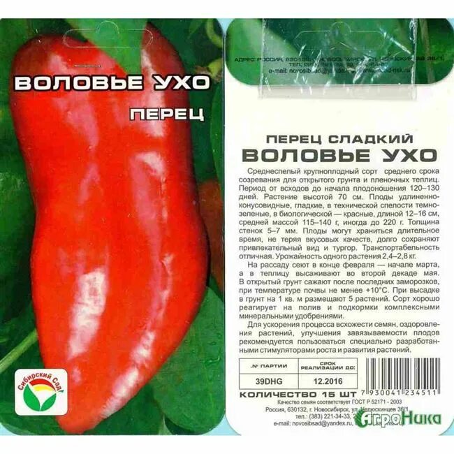 Перец воловье ухо описание фото отзывы