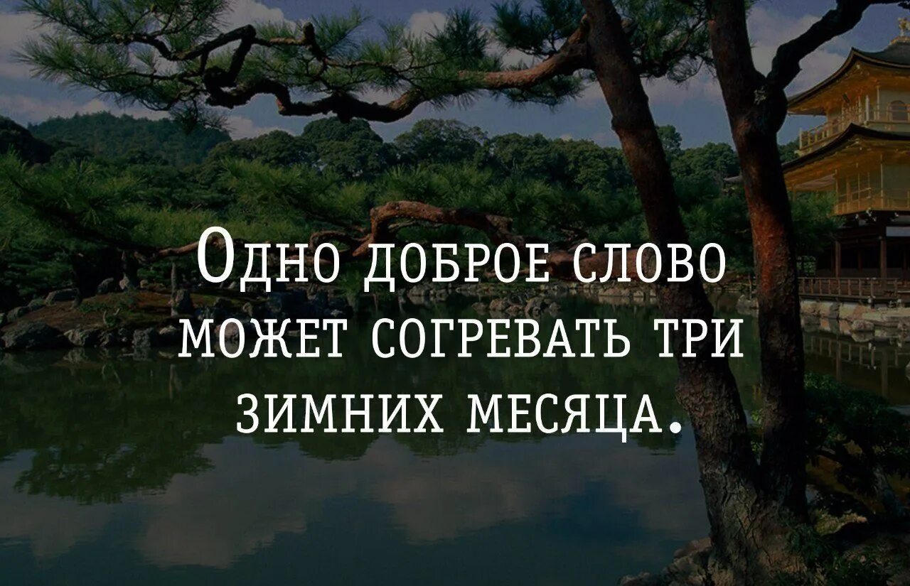 Подумав решайся а решившись. Подумав решайся а решившись не думай. женщина захочет сквозь скалу пройдет. женщина захочет — сквозь скалу пройдёт.. чрезмерная честность граничит с глупостью.