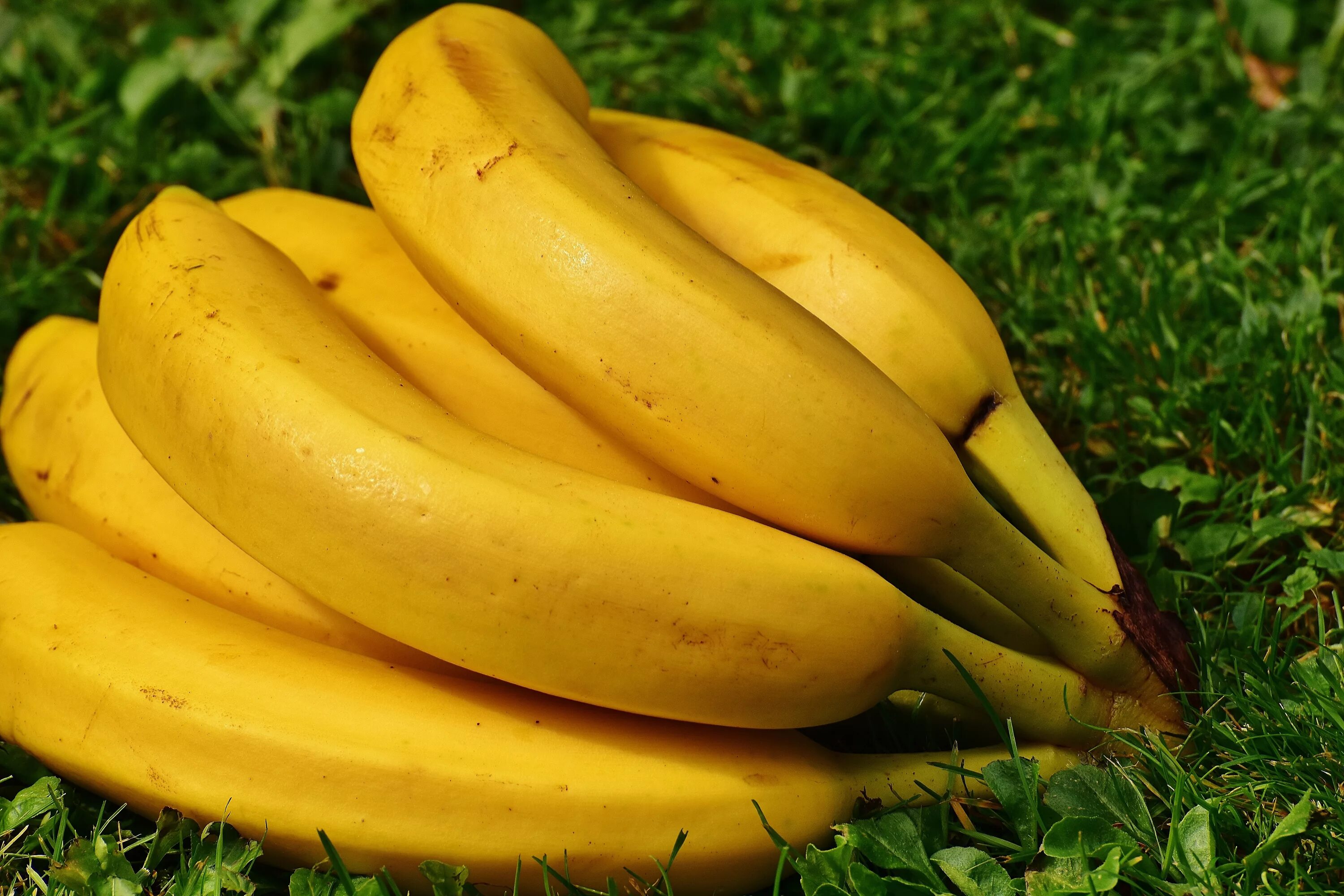 Банан. Фрукты банан. Спелый банан. Желтые фрукты бананы.