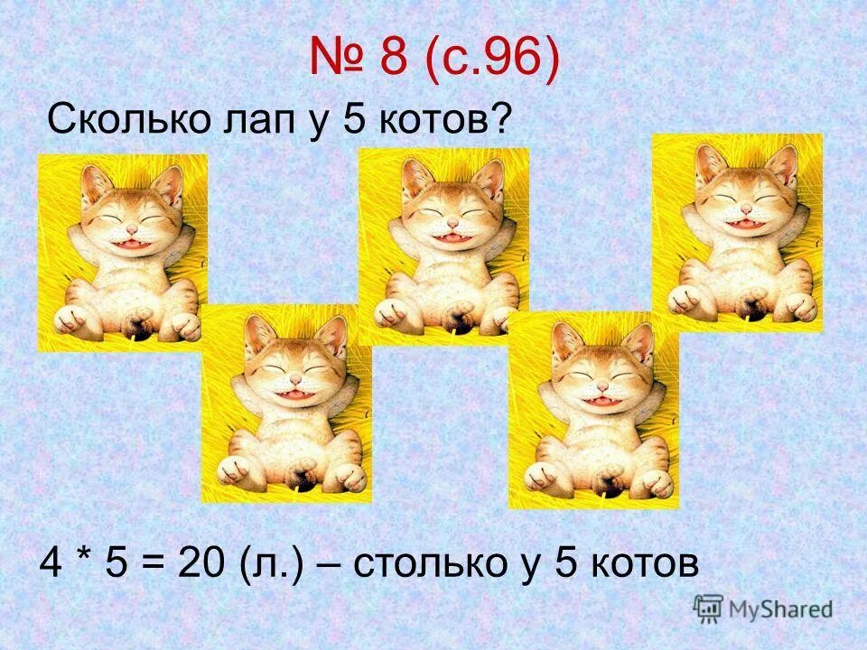 Сколько лап у котика