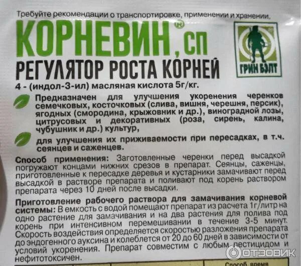 Сколько можно держать в корневине