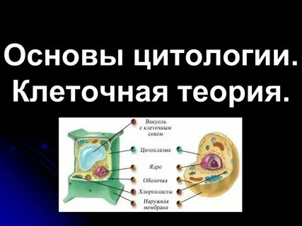 Основы цитологии науки о клетке тест