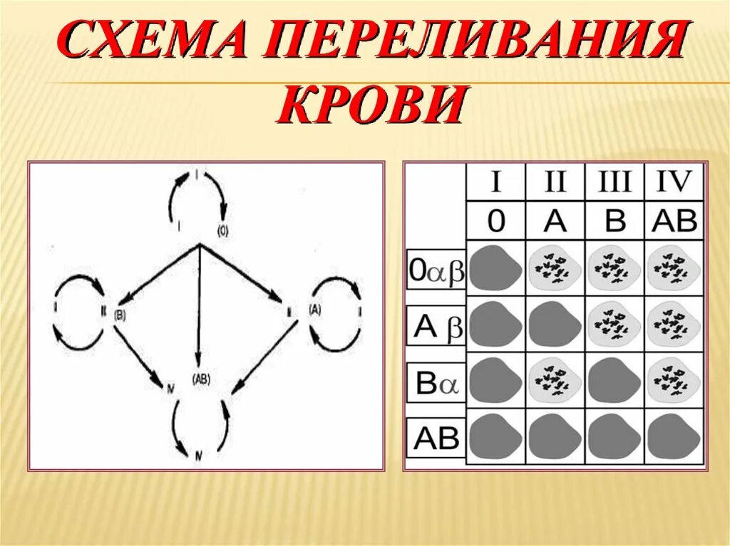 Схема переливания крови. Схема переливания крови по группам. Схема переливания групп крови. Переливание крови схема переливания. Схема совместимости крови