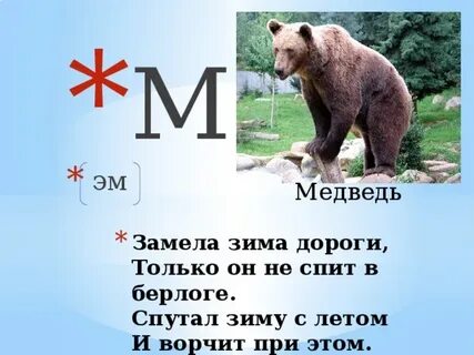 Загадка медведь