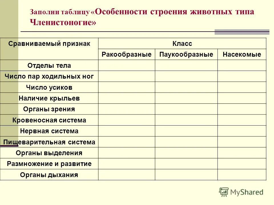 Нервная система членистоногих. Сравнение внешнего строения членистоногих. Таблица членистоногие ракообразные паукообразные насекомые. Биология 7 класс таблица ракообразные паукообразные насекомые. Членистоногие общая характеристика таблица.