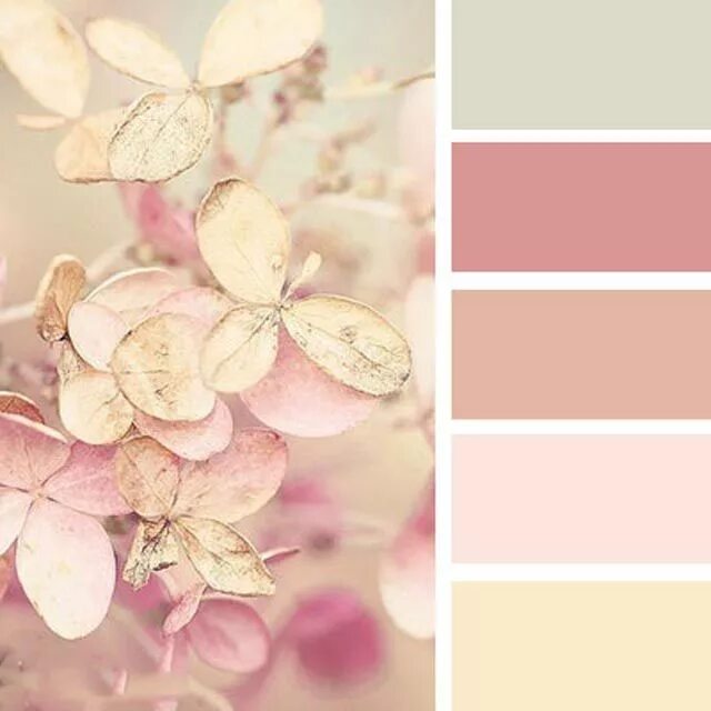 Rose Tones Design seeds, Seeds color palette, Design seeds color palette