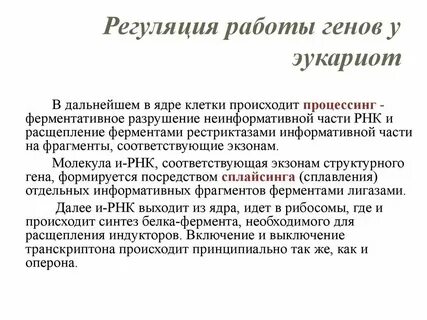 Геном эукариот характеризуется