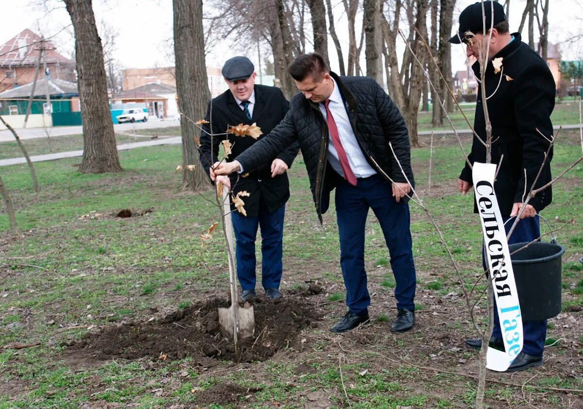 Погода в новопокровской рп5. Станица Новопокровская Краснодарский край. В станице Новопокровской. Станица Ильинская Новопокровский район. Ильинская Новопокровского района.