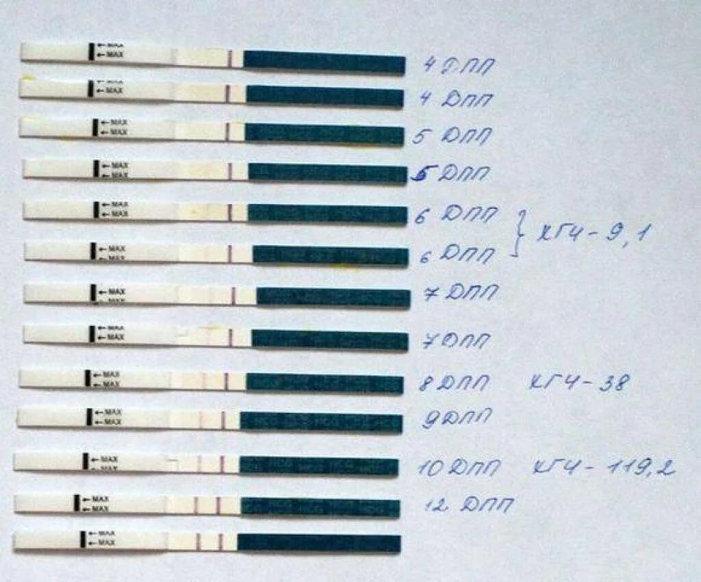 Тянет живот после эко. Тесты на беременность на 5 ДПП эмбрионов. Эко тест на беременность после подсадки. Тесты на 5 день после переноса 5 дневок. Эко тесты на беременность после переноса эмбриона.