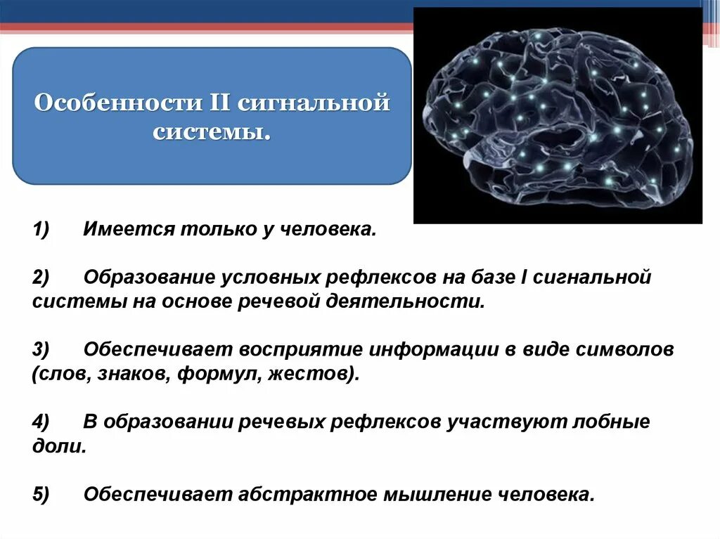 Высшая нервная деятельность человека презентация