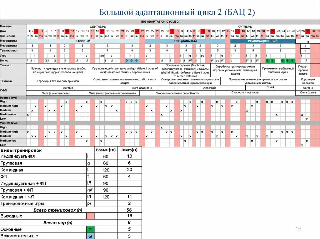 Годичный цикл тренировки. План схема годичного цикла подготовки. Циклы тренировок в спорте. Верхошанский программа тренировок. Циклы подготовки спортсменов