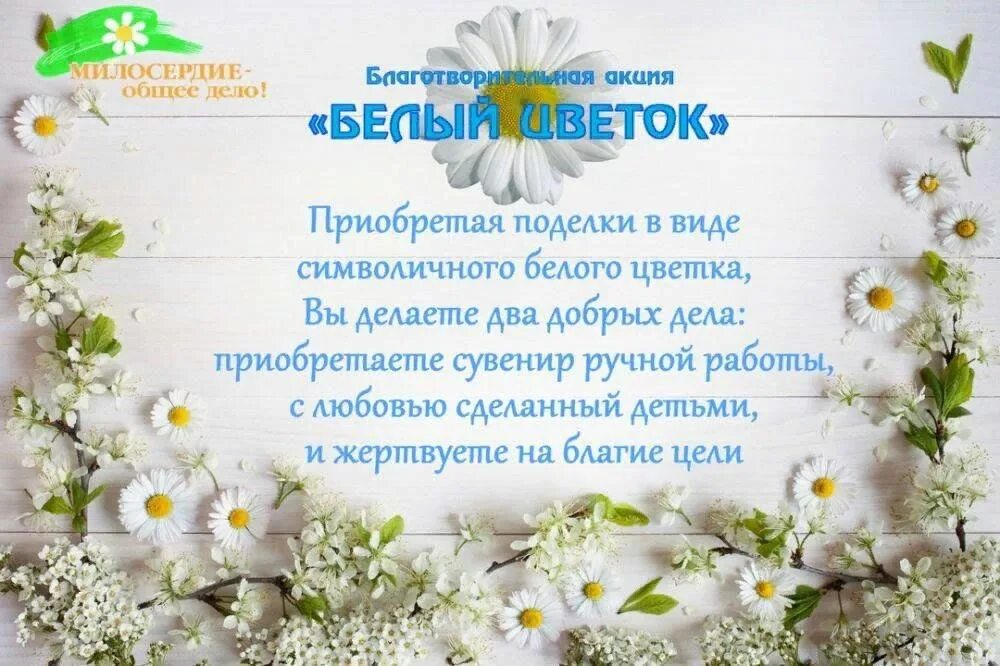 Белый цветок информация. Акция белый цветок. белый цветок благотворительная акция. благотворительная акция белый цветок объявление. акция добра и милосердия белый цветок.