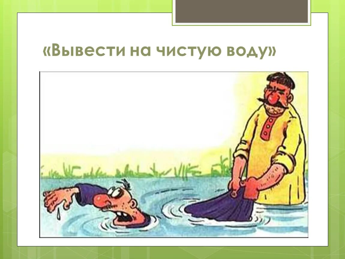 Выводить на чистую воду. Выведу на чистую воду. Вывел на чистую воду. Выводятся на чистую воду. Фразеологизм не мытьем так катаньем