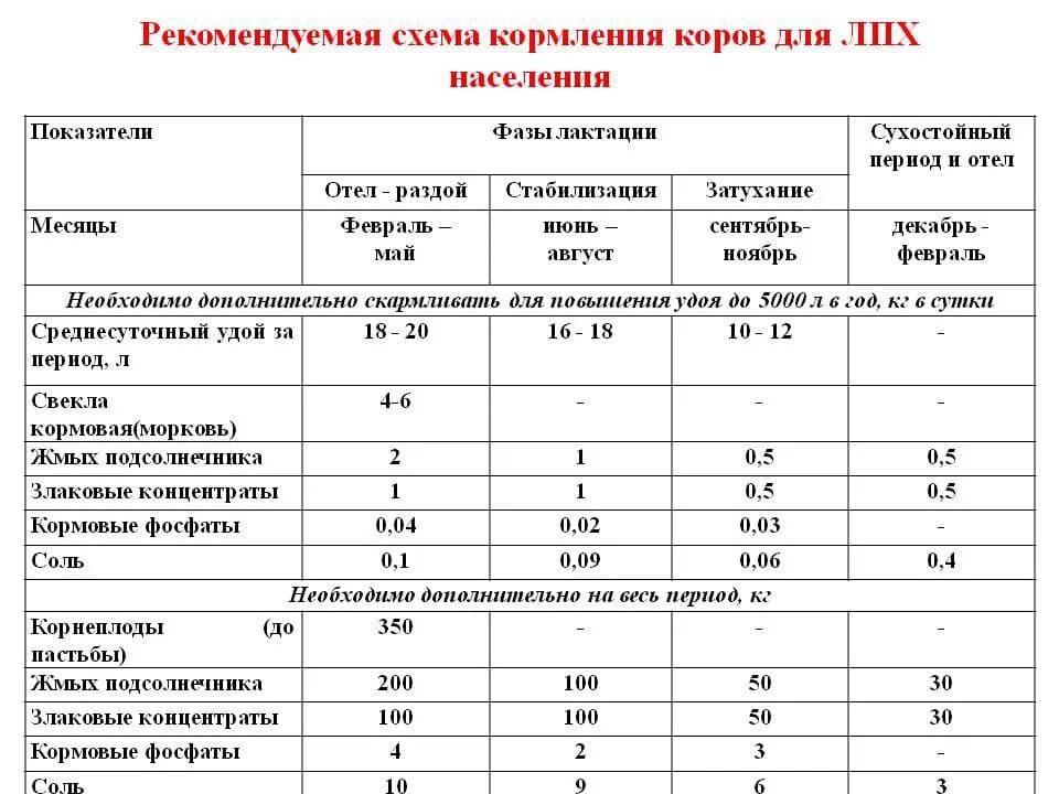 Что нужно давать корове