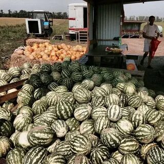 Погода ирклиевская 10 дней