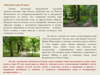 Описание аллеи