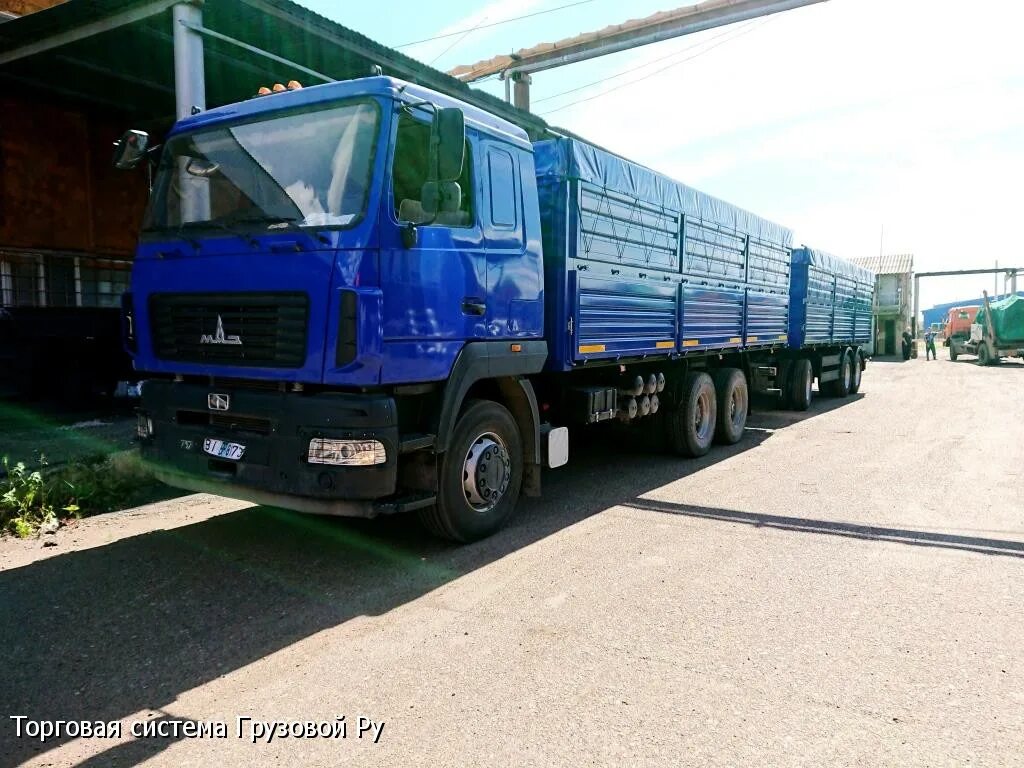 Маз 6312 бортовой с прицепом. Маз зерновоз б у. Маз 6312 бортовой. Маз 6312 зерновоз. Маз 6303 зерновоз кабина.