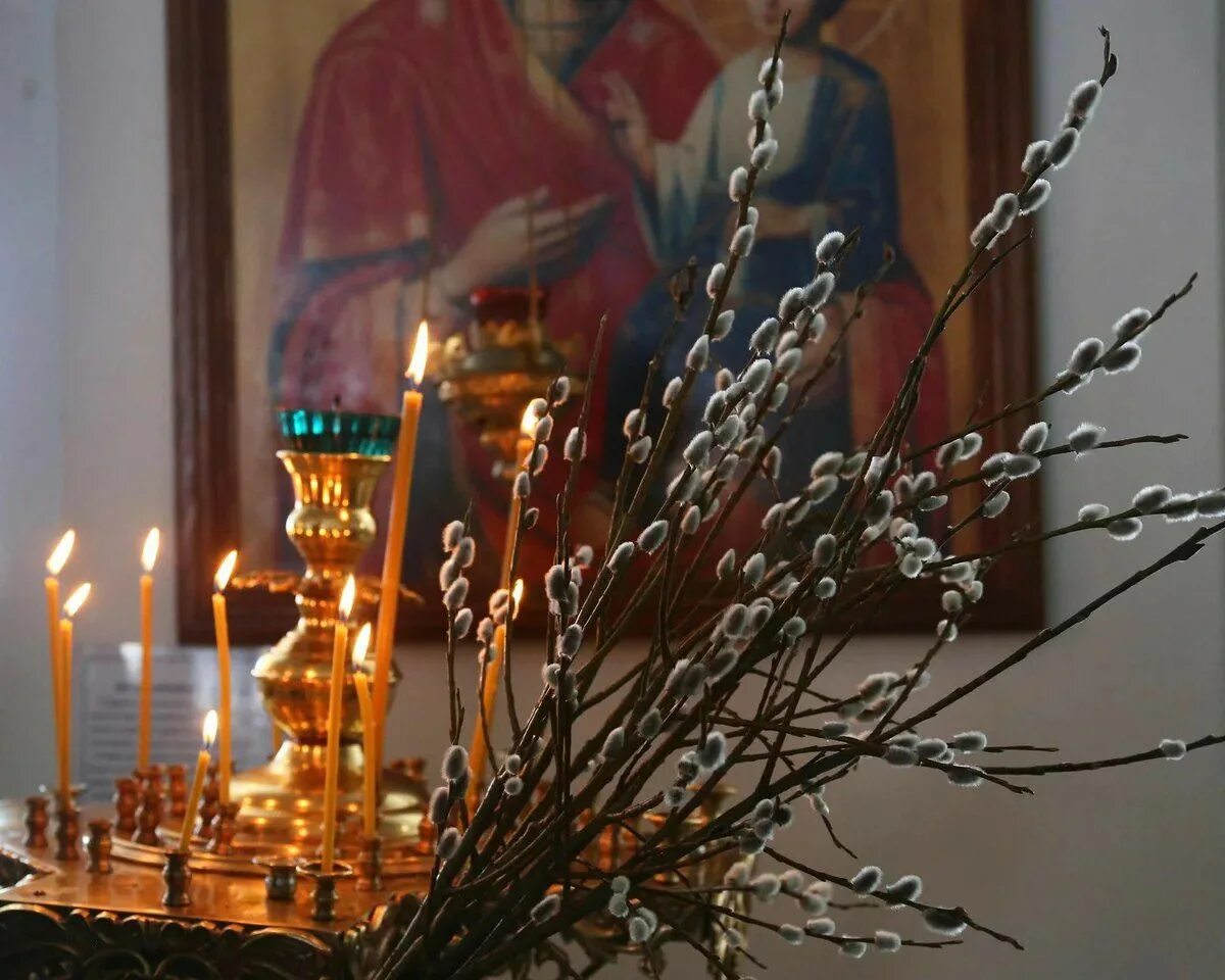 Вербное воскресенье православный праздник. Верба на Вербное воскресенье. С Вербным воскресеньем. Вход Господень в Иерусалим Вербное воскресенье.