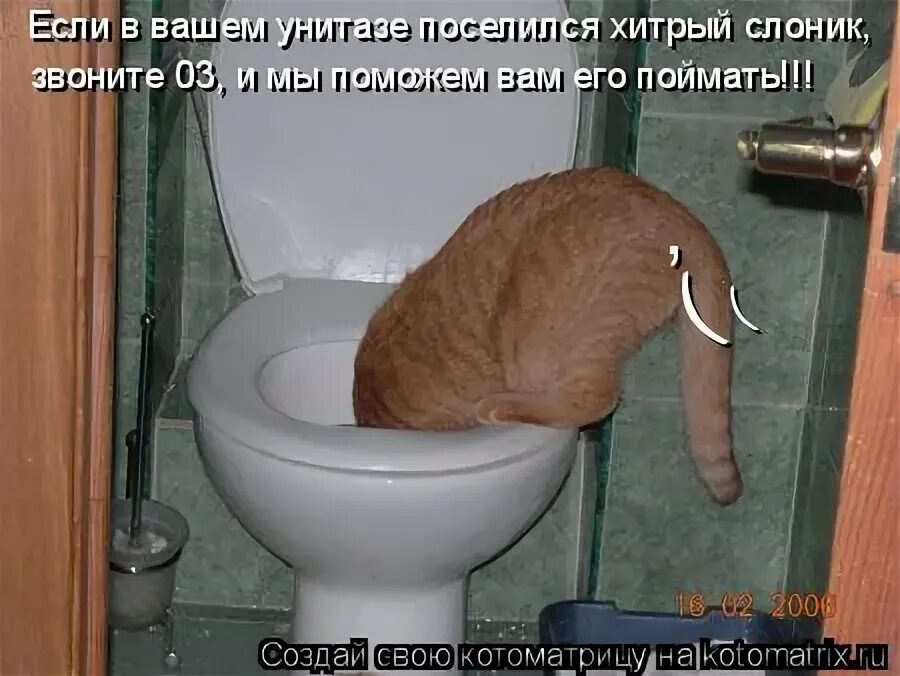 как понять что хочешь в туалет. сходила в туалет и опять хочется. в туалет по большому часто. пописала в раковину. ночные хождение в туалет.