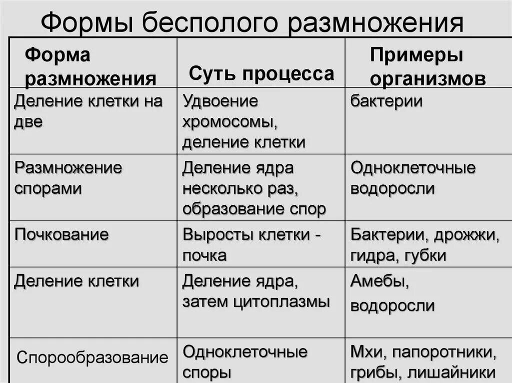 Бесполое размножение организмов 9 класс таблица. Способы бесполого размножения таблица 6 класс биология. Таблица по биологии 9 класс бесполое размножение. Таблица по биологии способы бесполого размножения.