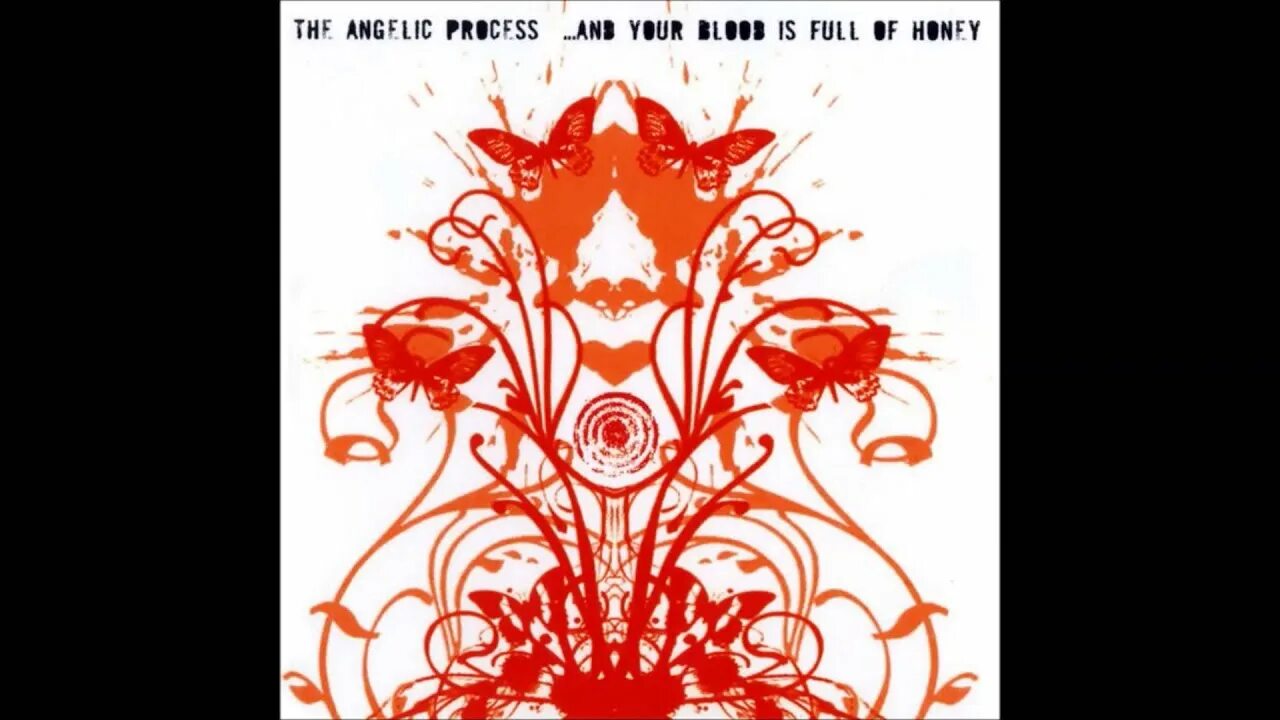 The angelic process. Kris angylus. sigh the angelic process. the angelic process википедия.