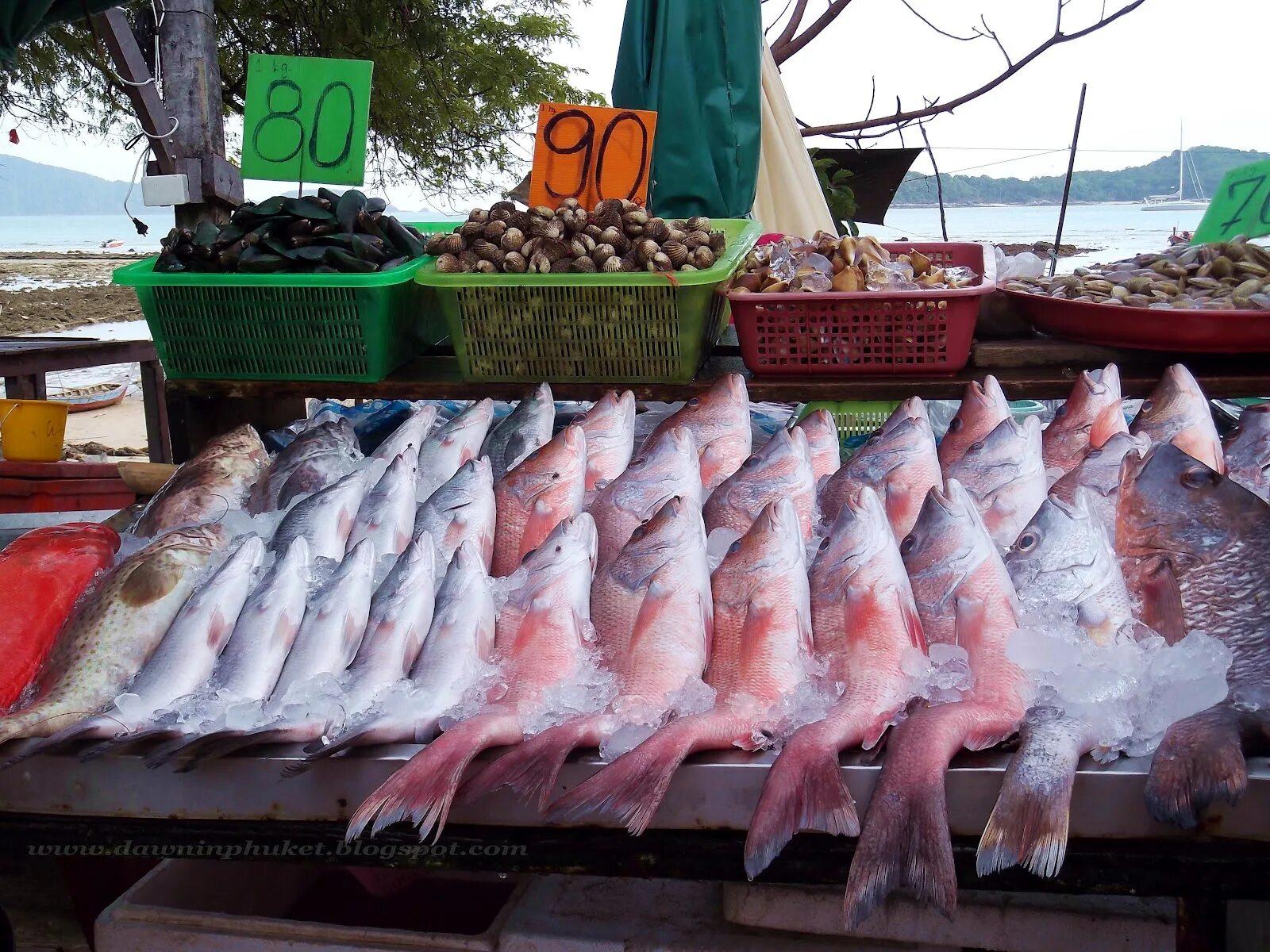 Купили на рынке рыбу. Рыба в Тайланде на рынке. Рынок морепродуктов на Пхукете Равай. Равай Пхукет рыбный рынок. Тайланд Пхукет рыбный рынок.