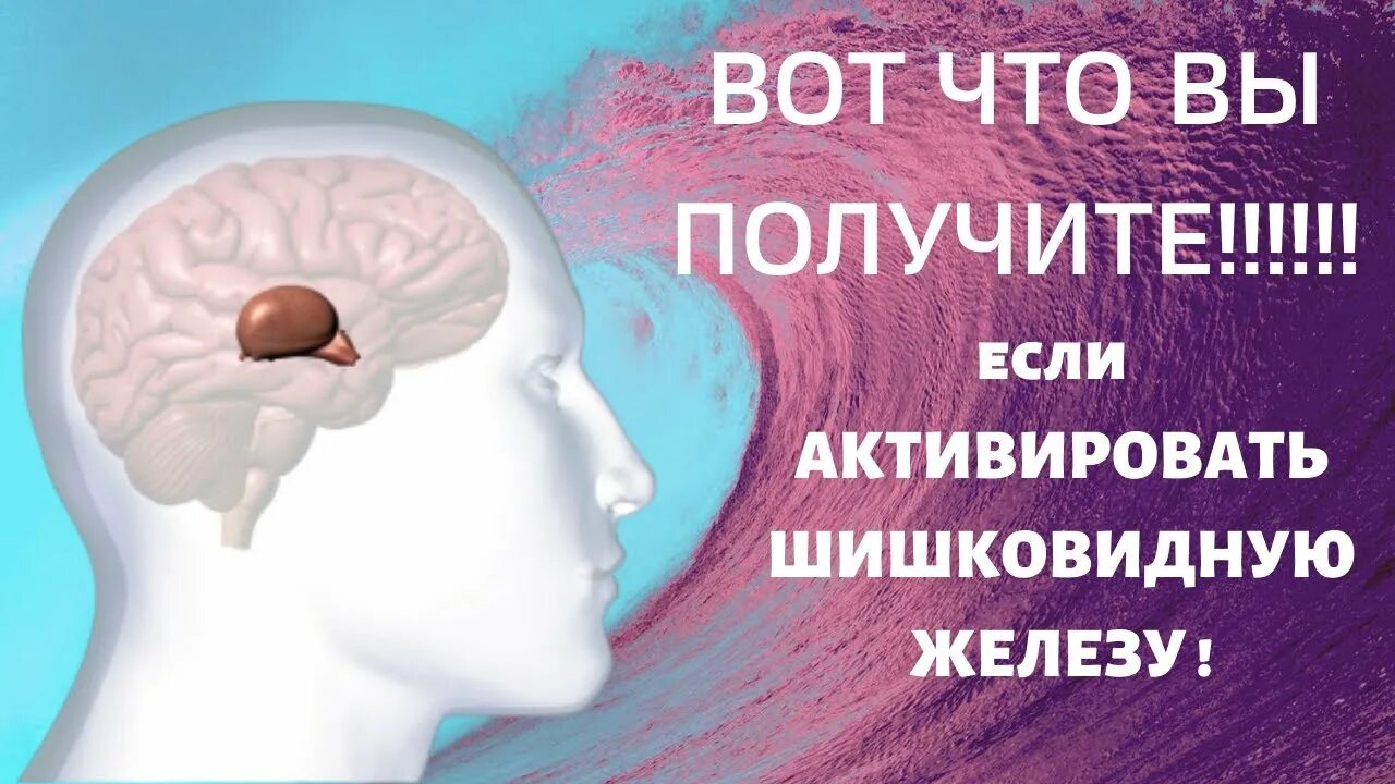 Медитация шишковидной железы. Активизация шишковидной железы. Активация шишковидной железы. Шишковидная железа третий глаз. Шишковидная железа центр сверхспособностей.