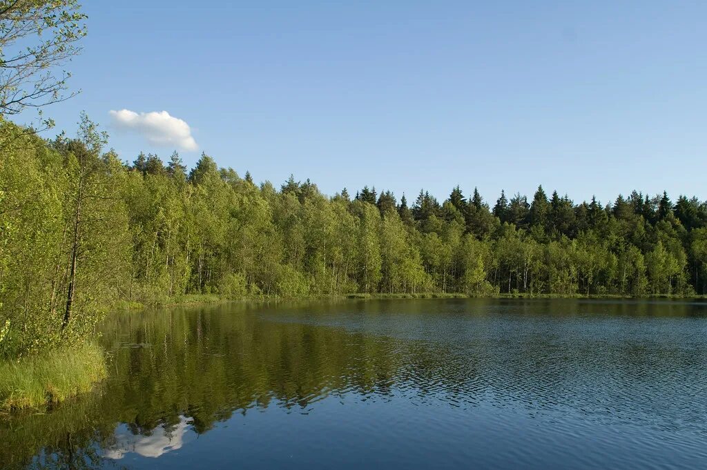 погода на голубых озерах. голубые озера кабарда. погода на голубых озерах. погода на голубых озерах. голубые озера беларусь любанский район.
