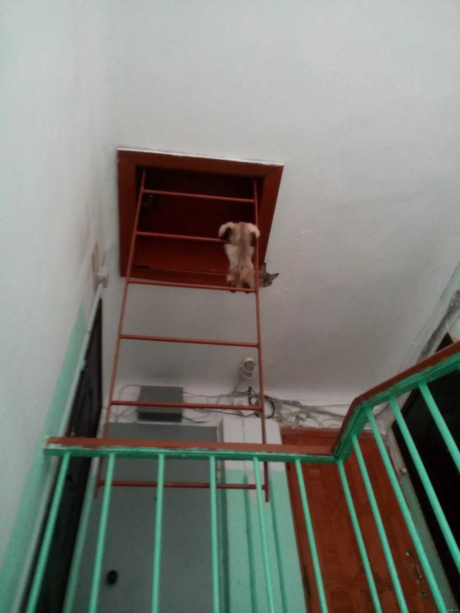 Противопожарный люк 2-го типа для выхода на чердак. Противопожарный люк на чердак. Лестница на второй этаж в подъезде. Лестница на крышу в подъезде. Лестничный марш в подъезде.