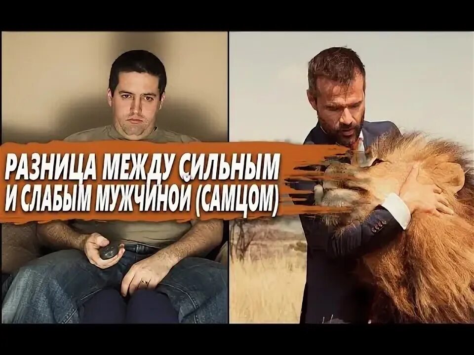 Будь сильным на между. Настоящий мужской самец.