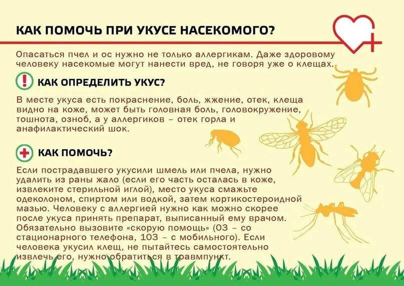 Можно ли пить при укусе осы
